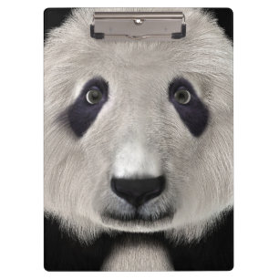 Porte-bloc Cute Panda Bear Kawaii Amoureux des animaux Cadeau