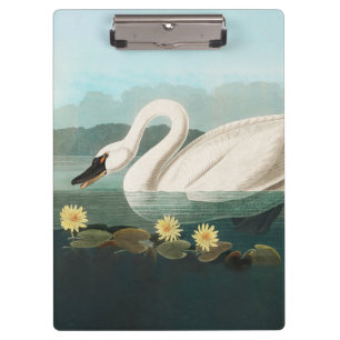 Porte-bloc cygne audubon cygnes d'eau blanche