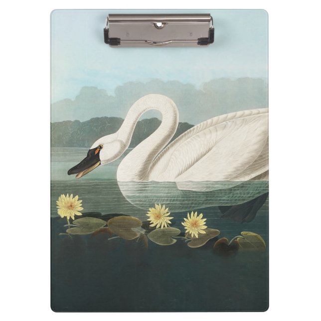 Porte-bloc cygne audubon cygnes d'eau blanche (Devant)