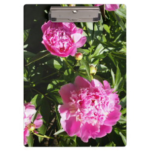 Porte-bloc Dark rose peonies