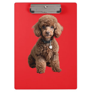 Porte-bloc Dossier rouge de caniche de thé mignon