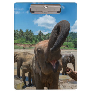 Porte-bloc Éléphant Sri Lanka