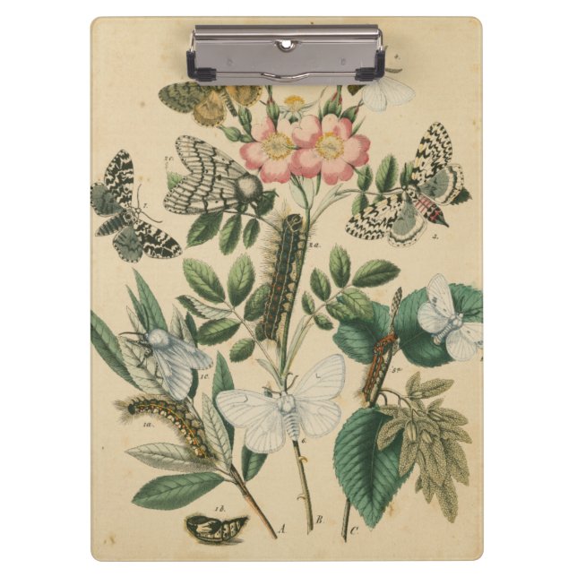 Porte-bloc Étapes de la vie des papillons par Vision Studio (Devant)