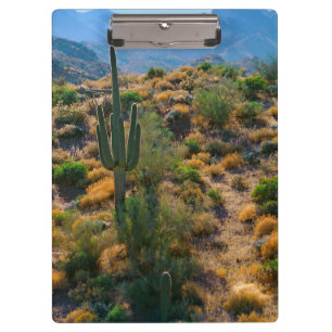 Porte-bloc États-Unis, Arizona. Desert View