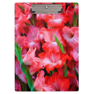 Porte-bloc États-Unis, Géorgie, Savannah, Bouquet de Glaïeuls