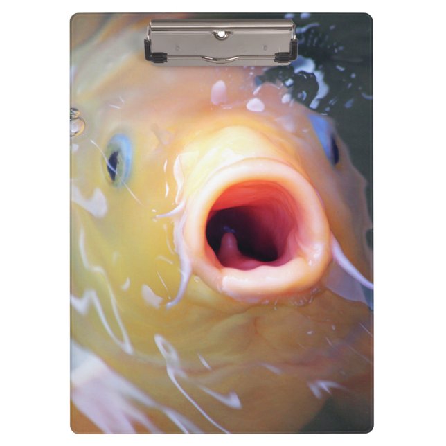 Porte-bloc Falln chantant Ghost Koi (Devant)