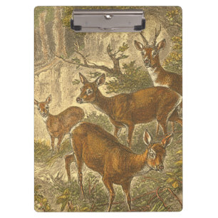 Porte-bloc Famille de Roe - Cerfs dans une forêt