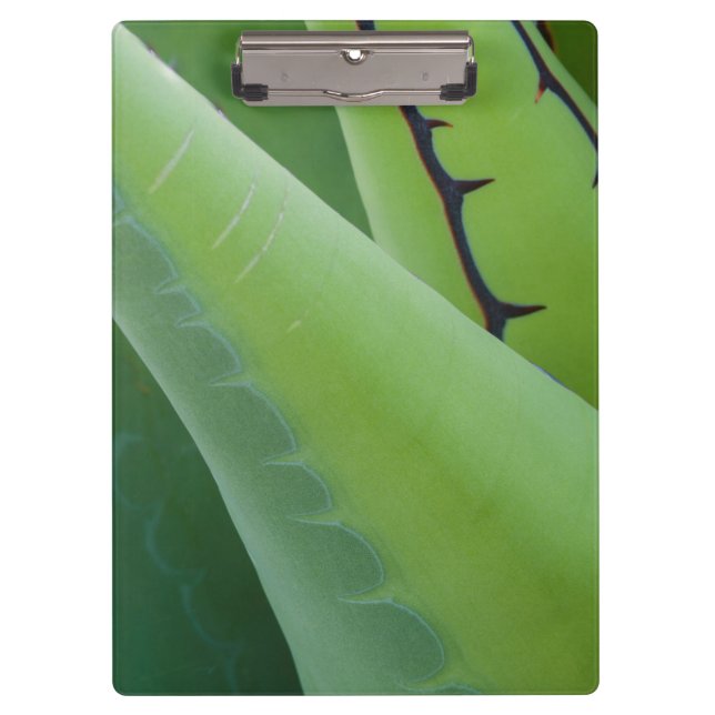 Porte-bloc Fermer l'agave (Devant)