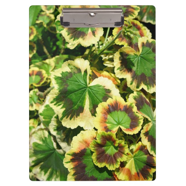 Porte-bloc Feuille (Devant)