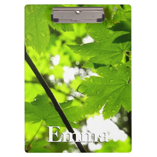 Porte-bloc Feuilles d'érable avec Raindrops (Devant)