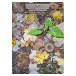 Porte-bloc Feuilles forestiers