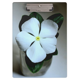 Porte-bloc Fleur blanche