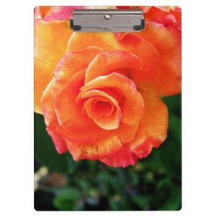 Porte-bloc Fleur de rose orange