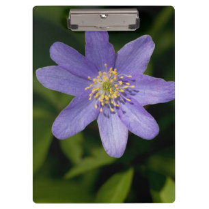 Porte-bloc Fleur sauvage