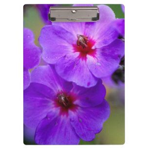 Porte-bloc Fleur violette