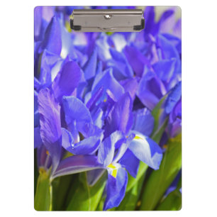 Porte-bloc Fleurs d'Iris