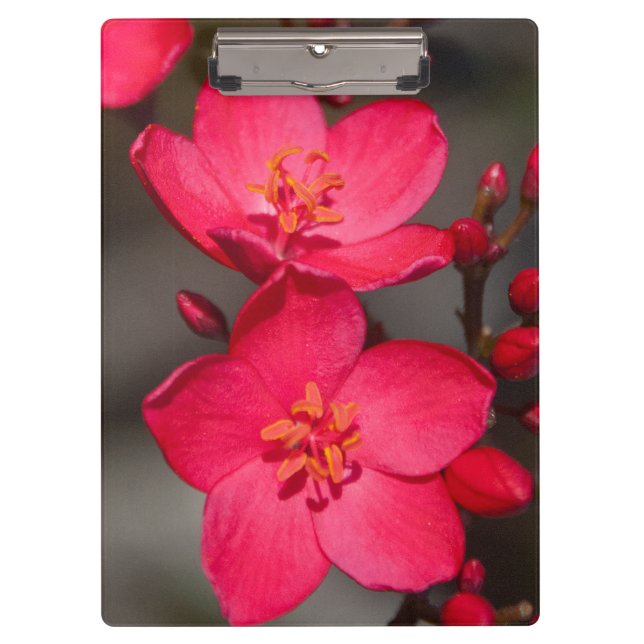 Porte-bloc Fleurs tropicales rouges et roses de Fidji (Devant)