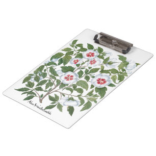 Porte-bloc Fleurs vintages d'Hibiscus par Basilius Besler