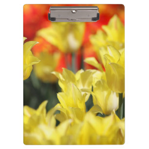 Porte-bloc Flore tombée Été Glow