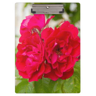 Porte-bloc Grandes roses rouges dans le jardin