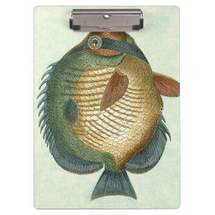 Porte-bloc Grands poissons colorés