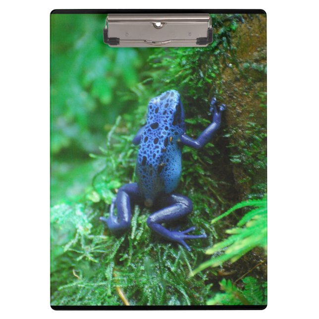 Porte-bloc Grenouille bleue de dard de poison (Devant)