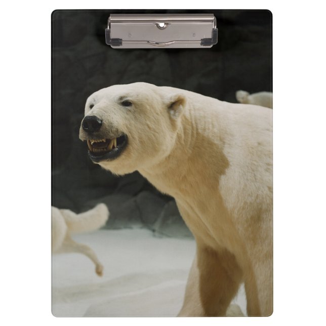 Porte-bloc Grimace d'ours blanc (Devant)