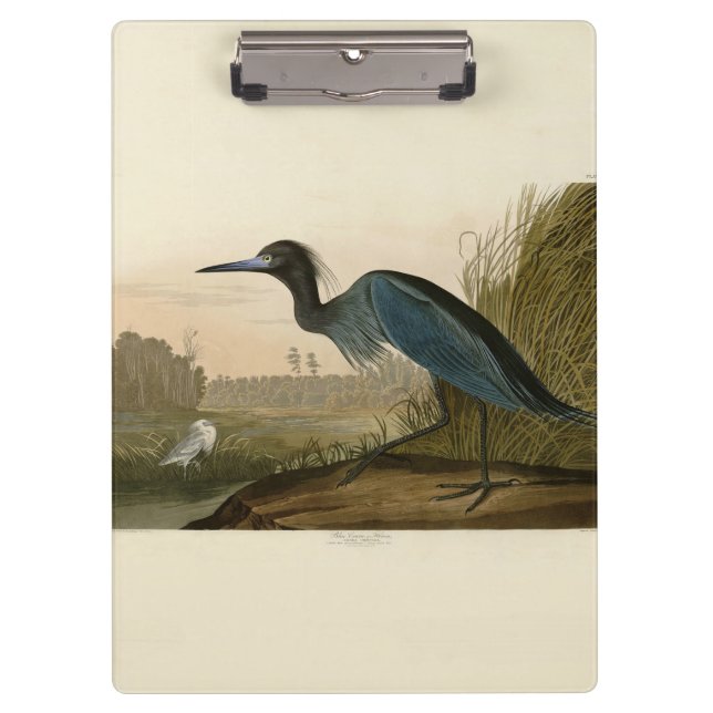 Porte-bloc Grue Bleue Heron Audubon Peinture (Devant)