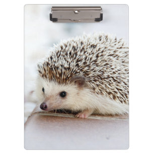 Porte-bloc Hérisson mignon de bébé