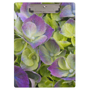 Porte-bloc Hydrangea du jardin Keukenhof