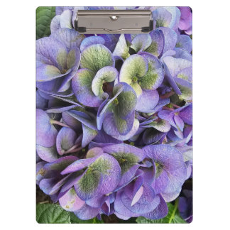 Porte-bloc Hydrangea Print, Value Poster Paper (Semi-Gloss)