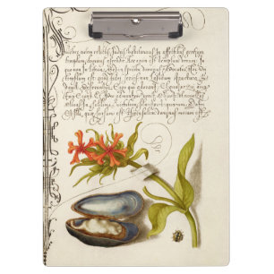 Porte-bloc Illustration botanique de calligraphie antique