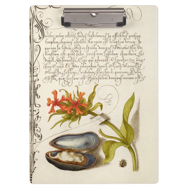 Porte-bloc Illustration botanique de calligraphie antique (Devant)