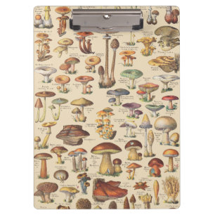 Porte-bloc Illustration vintage des champignons