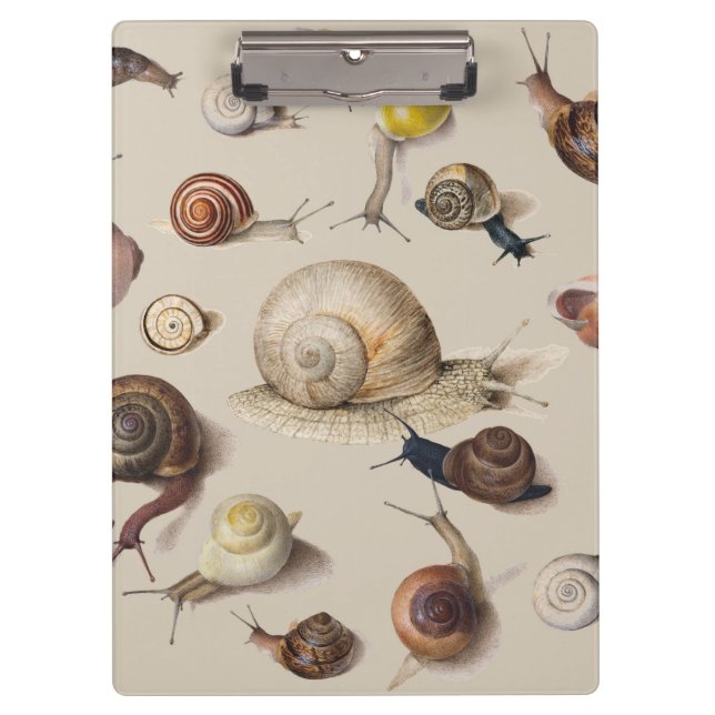 Porte-bloc Jardin d'escargots Animaux de compagnie Gastropod  (Devant)