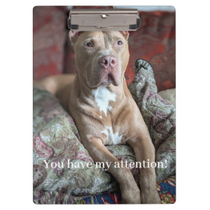 Porte-bloc Joli Pit Bull