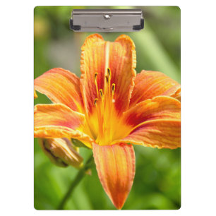 Porte-bloc Jolie grande fleur Lily photo