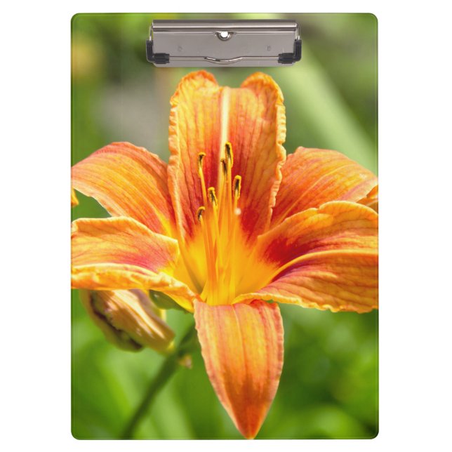 Porte-bloc Jolie grande fleur Lily photo (Devant)