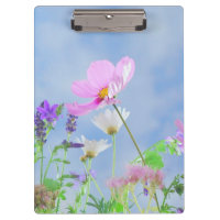 Jolies fleurs sauvages printanières