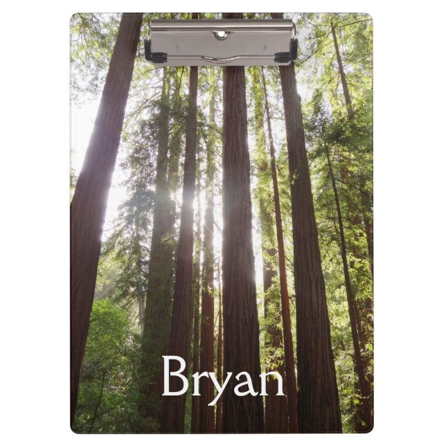 Porte-bloc Jusqu'aux séquoias du matin (Devant)