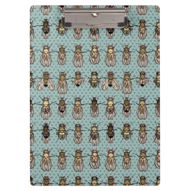 Porte-bloc La génétique de mouche à fruit de drosophile - (Devant)