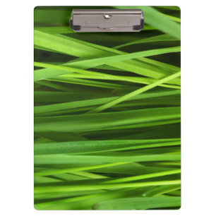 Porte-bloc Lames d'herbe