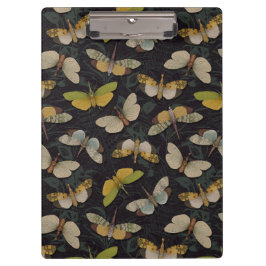 Porte-bloc Lanternflies - Pyrops Candelaria & autres Planthop