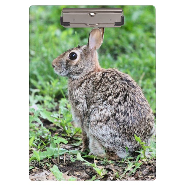 Porte-bloc Lapin (Devant)