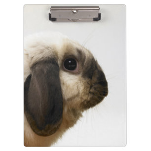 Porte-bloc Lapin regardant le lapin
