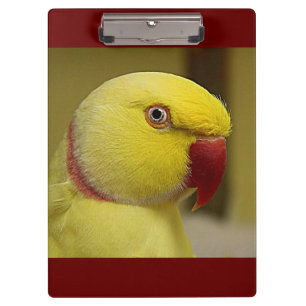 Porte-bloc Le perroquet jaune vif de l'Indien Lutino Ringneck