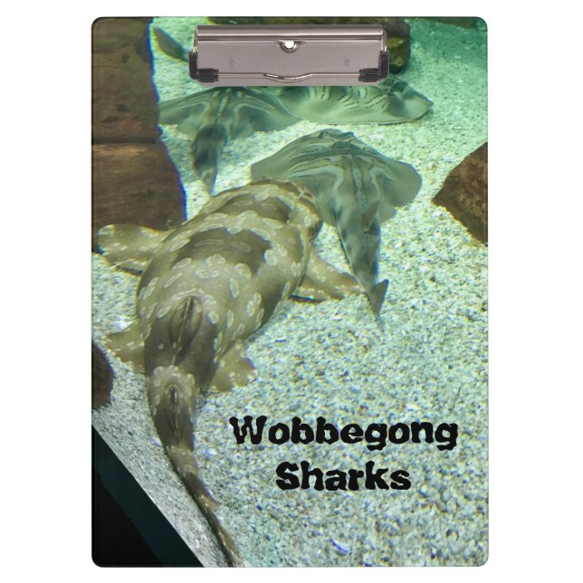 Porte-bloc Les requins Wobbegong (Devant)