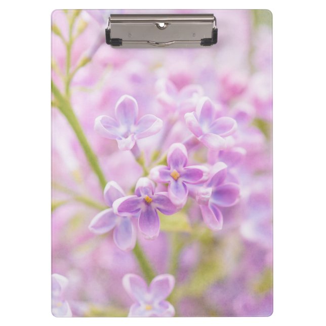Porte-bloc Lilac Fleurs Mist (Devant)