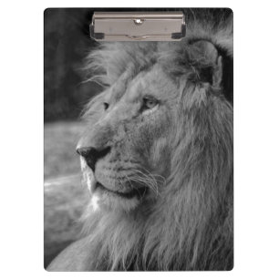 Porte-bloc Lion noir et blanc - Animal sauvage