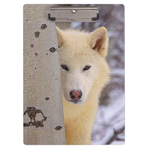 Porte-bloc Loup blanc
